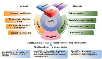 Editorial: Antimicrobial peptides and their druggability, bio-safety, stability, and resistance